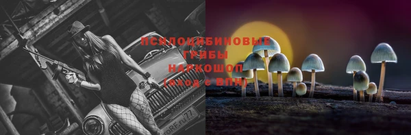марихуана Абаза