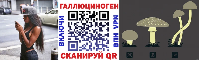 MEGA   закладки  Пучеж  Галлюциногенные грибы прущие грибы 